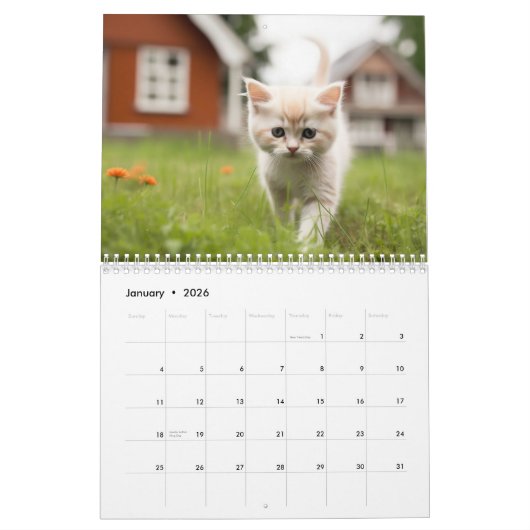 Kittens & Cats Kalender (Jan 2026)