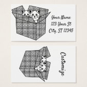 Kittens dans une boîte Thunder_Cove (Devant & derrière)