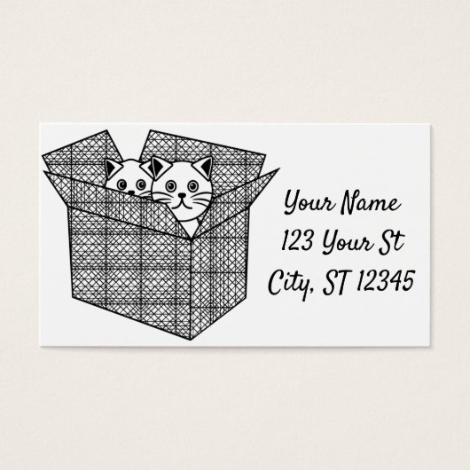 Kittens dans une boîte Thunder_Cove (Devant)