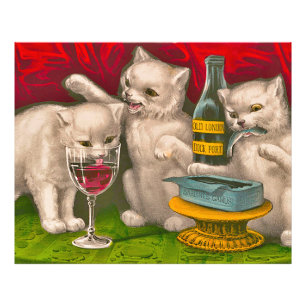 Kittens die sardines drink en eet foto afdruk