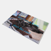 Kittens Doormat Deurmat (Schuin)