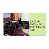 Kittens Etiket (Voorkant)