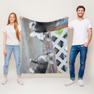 Kittens Fleece Deken