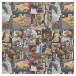 Kittens Fotocollage, Stof