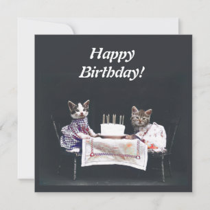  Kittens Happy Birthday-kaart Kaart
