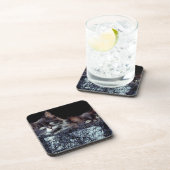 Kittens in container onderzetter (Rechterzijde)