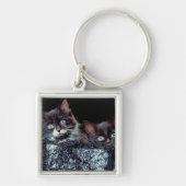 Kittens in container sleutelhanger (Voorkant)