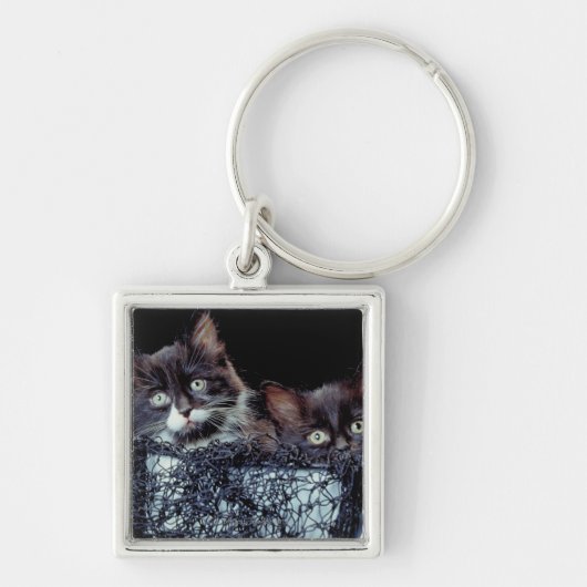 Kittens in container sleutelhanger (Voorkant)