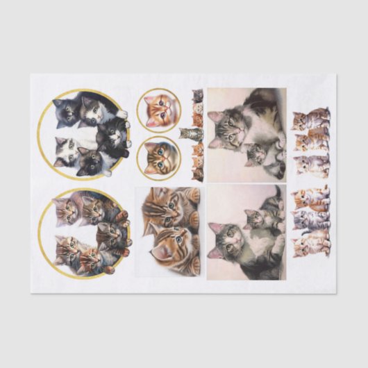  Kittens in de stijl van Helena Maguire Tissuepapier (Voorkant)