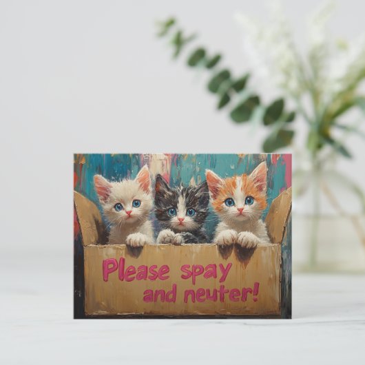 Kittens in een doos alsjeblieft steriliseren en ne briefkaart (Staand voorkant)