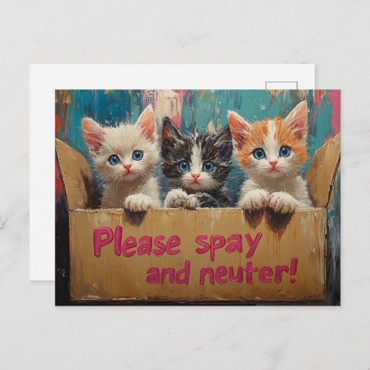 Kittens in een doos alsjeblieft steriliseren en ne briefkaart (Voorkant / Achterkant)