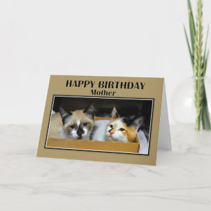 Kittens in een doos Moeder Happy Birthday Kaart