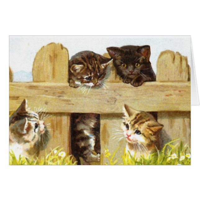 Kittens in een hek (Voorkant Horizontaal)