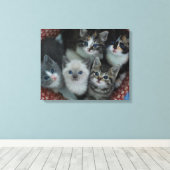 Kittens in een mandje canvas afdruk (Insitu (Houten vloer))