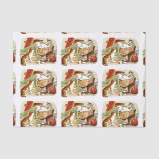 Kittens in een mandje tissuepapier (Voorkant)