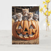 Kittens in Halloween pompoen Kaart (Gele Bloem)