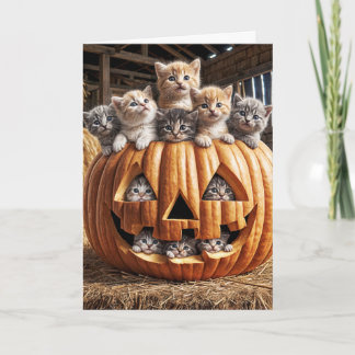 Kittens in Halloween pompoen Kaart