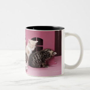 Kittens in het huis van de pop tweekleurige koffiemok