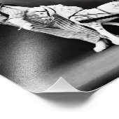 Kittens in het vervoer foto afdruk (Hoek)