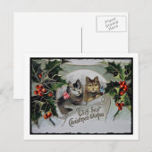 Kittens in Holly Kerstmis Feestdagenkaart (Voorkant / Achterkant)