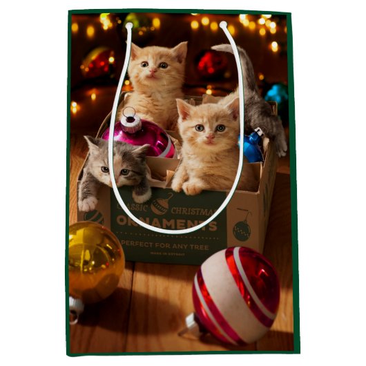Kittens in Ornament Box Medium Cadeauzakje (Voorkant)
