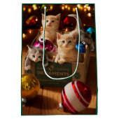 Kittens in Ornament Box Medium Cadeauzakje (Achterkant)