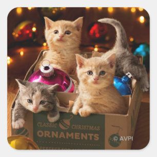 Kittens in Ornament Box Vierkante Sticker