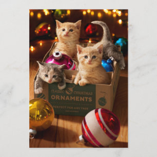 Kittens in Sieraad Doos Kaart