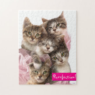 Kittens in Tutus Legpuzzel