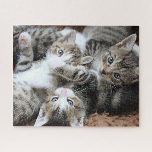 Kittens Jigzaag Puzzle Legpuzzel (Horizontaal)