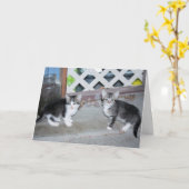 Kittens Kaart (Gele Bloem)