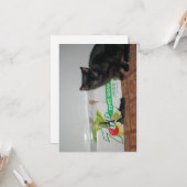 Kittens Kaart (Voorkant / Achterkant in situ)