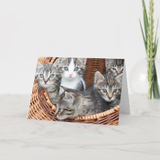 Kittens Kaart
