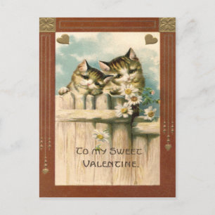 Kittens Kat Daisy Madeliefjes Schutting Briefkaart