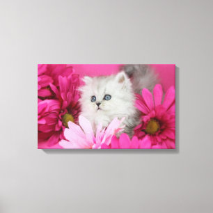 Kittens, katten, roze, pooldots canvas afdruk
