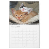 Kittens, kittens. kalender (Feb 2026)