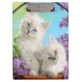 Kittens/klembord Klembord (Voorkant)