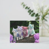 kittens kleur briefkaart (Staand voorkant)