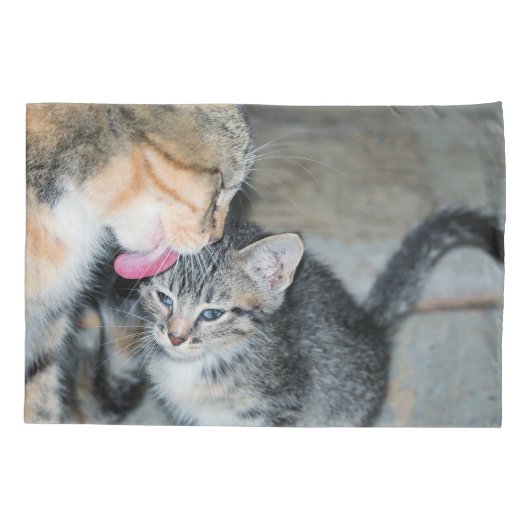 Kittens Kussensloop (Achterkant)