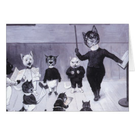 Kittens Leer naar Sing