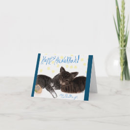 kittens met drager kaart