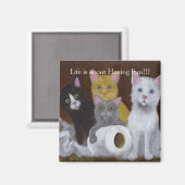 Kittens met Fun Magnet Magneet (Voorkant / Achterkant)