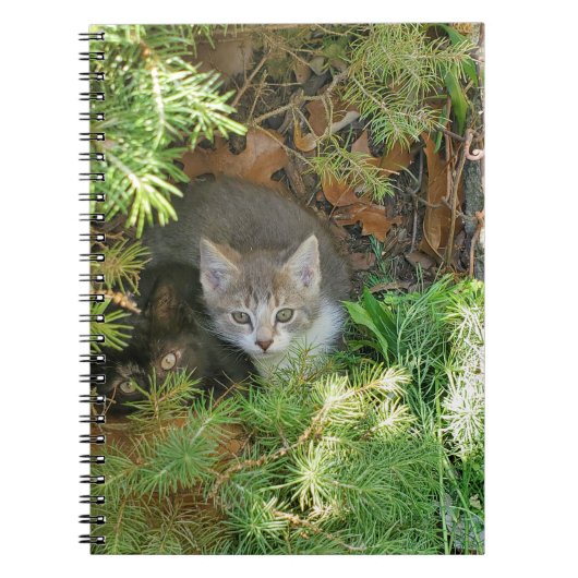 Kittens Notitieboek (Voorkant)