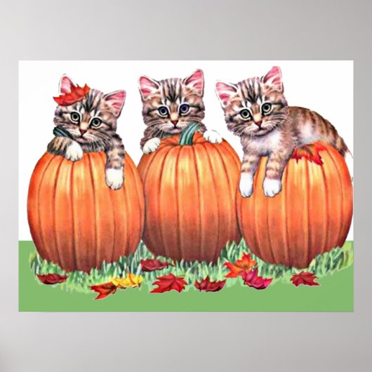 Kittens op Pompoenen Print (Voorkant)