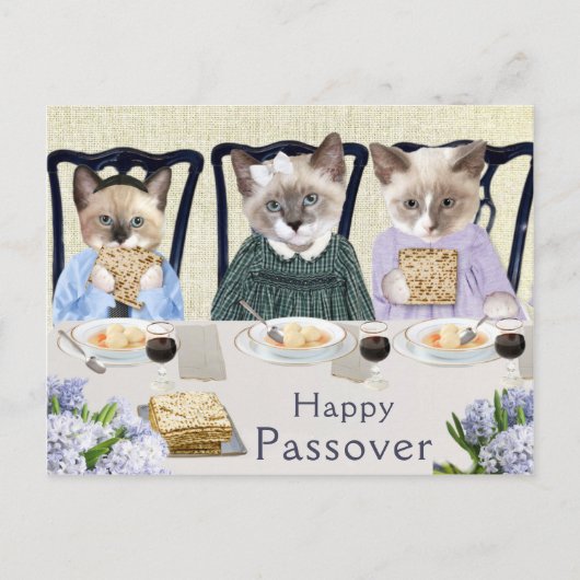 Kittens Passover Briefkaart (Voorkant)