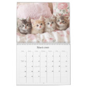 Kittens Pastel Roze 2026 Wandkalender Kalender (Mar 2026)