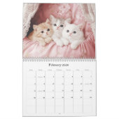 Kittens Pastel Roze 2026 Wandkalender Kalender (Feb 2026)