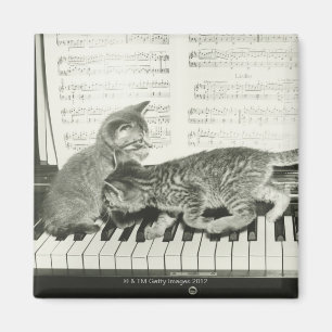 Kittens Pianospelen Magneet