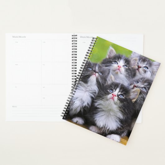 Kittens Planner (Display)