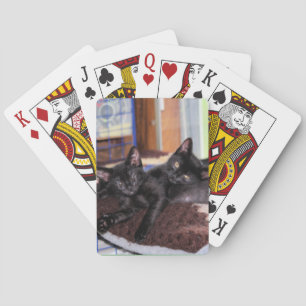 Kittens Pokerkaarten
